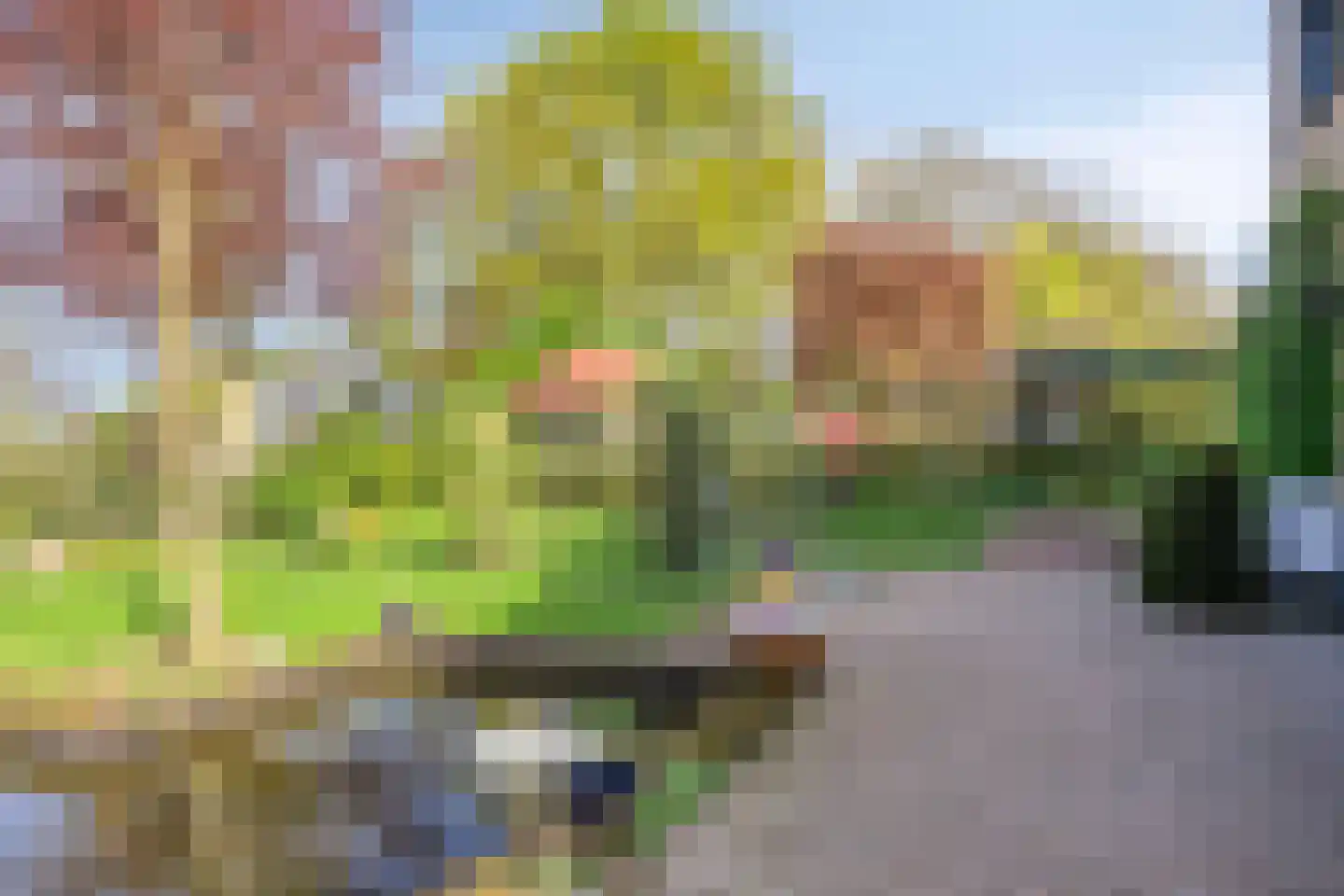Kraaiheide 86 Eerbeek thumbnail 56