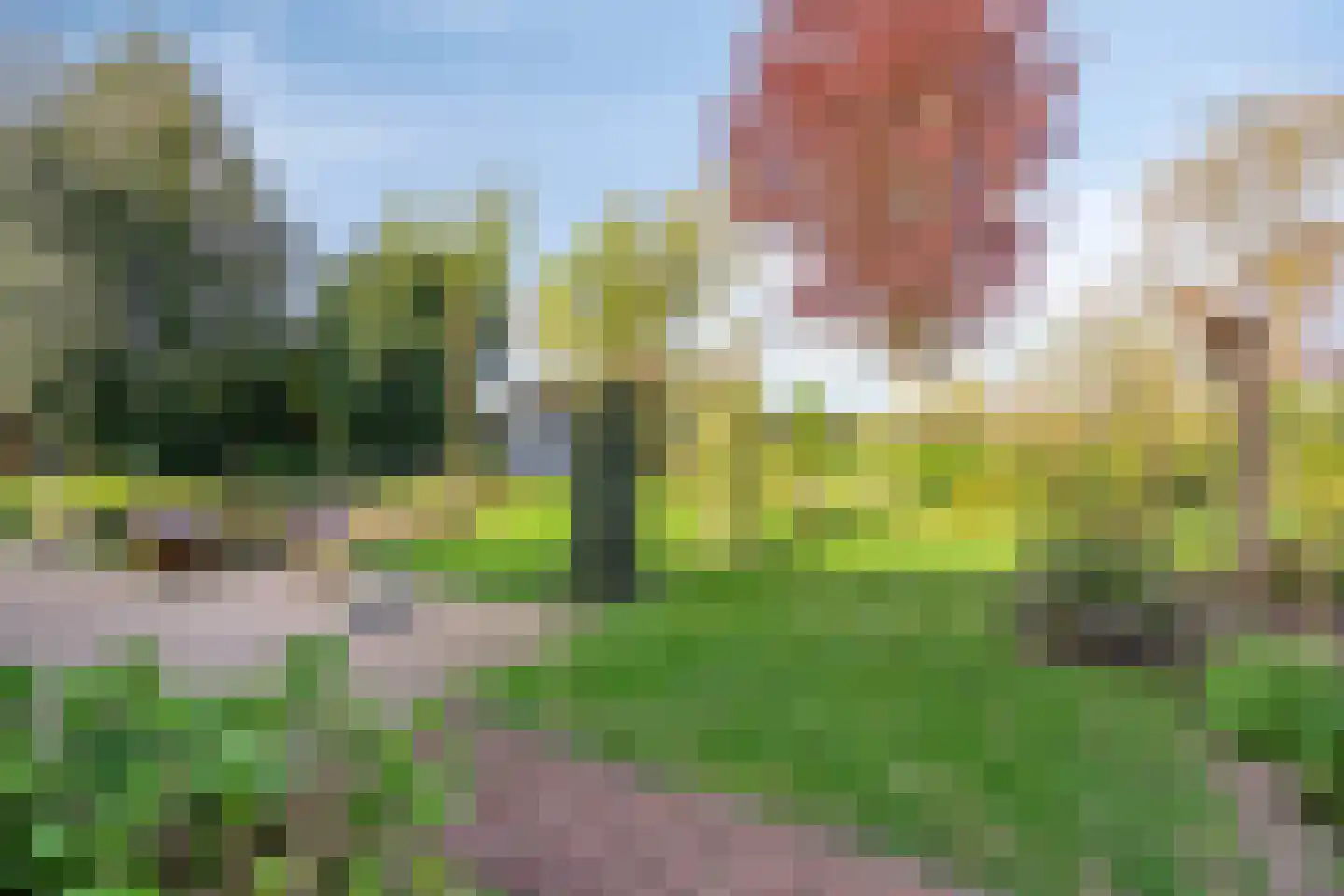Kraaiheide 86 Eerbeek thumbnail 57