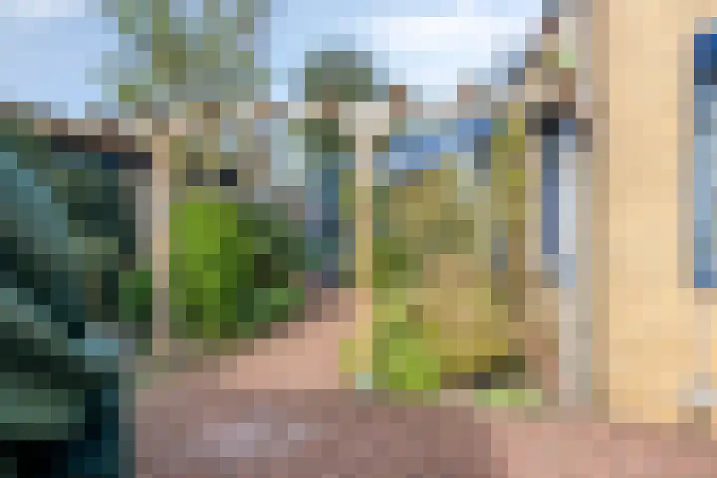 Kraaiheide 86 Eerbeek thumbnail 61
