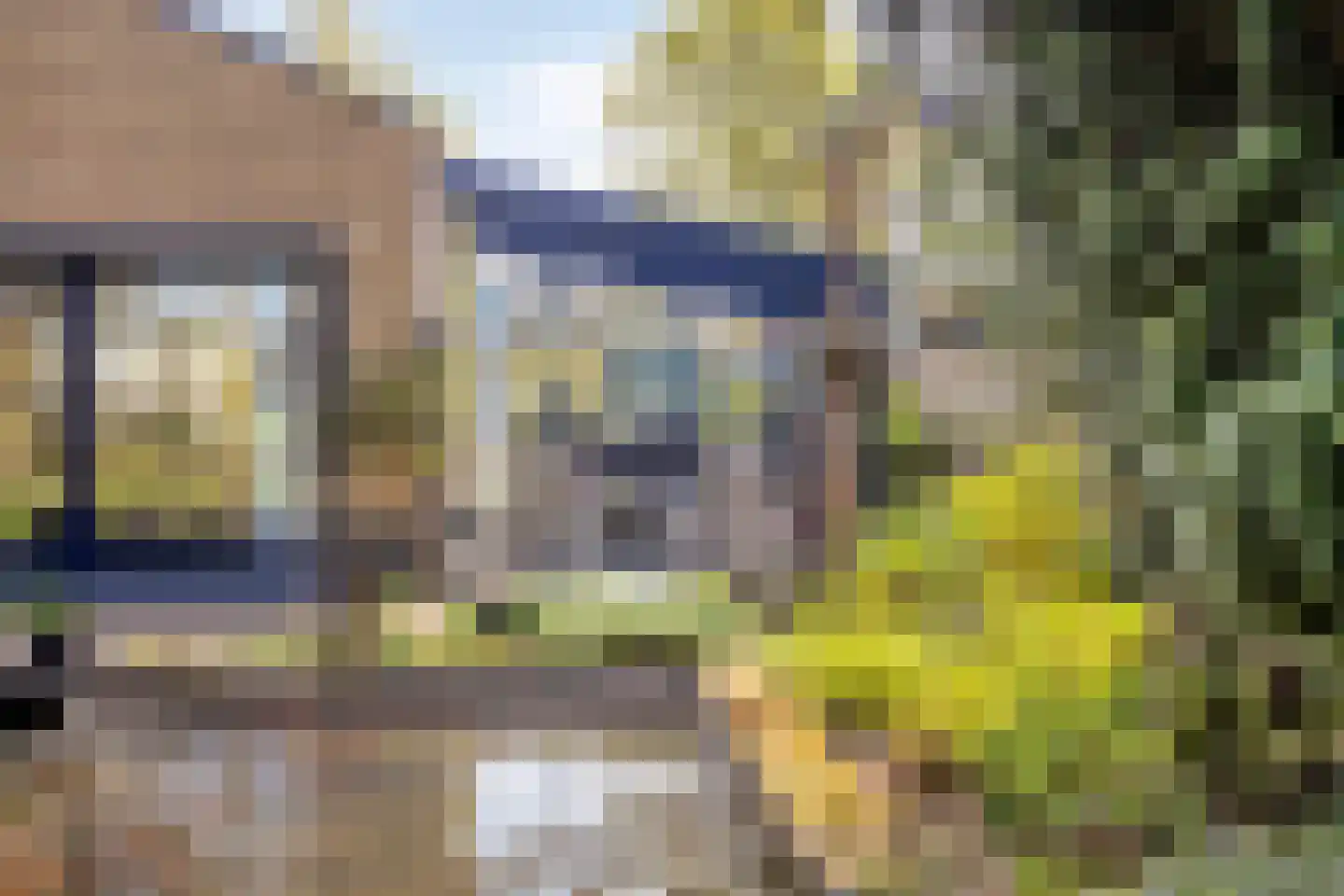 Kraaiheide 86 Eerbeek thumbnail 62