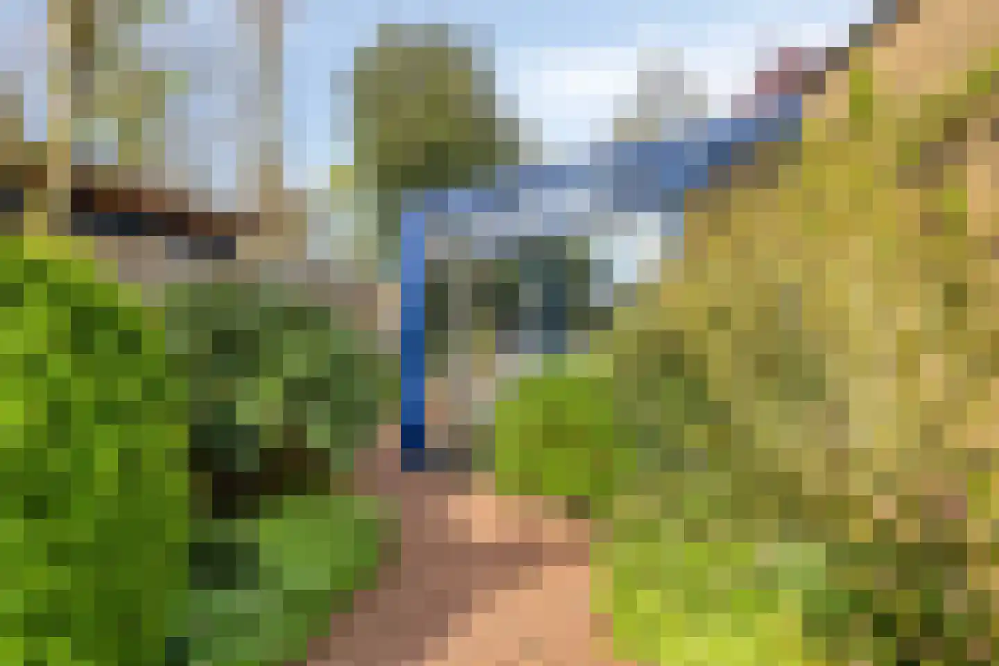 Kraaiheide 86 Eerbeek thumbnail 63