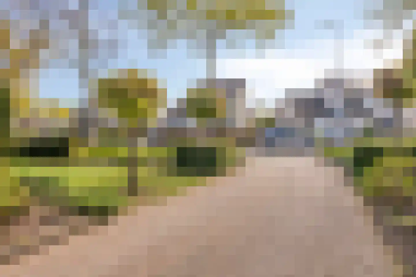 Kraaiheide 86 Eerbeek thumbnail 68
