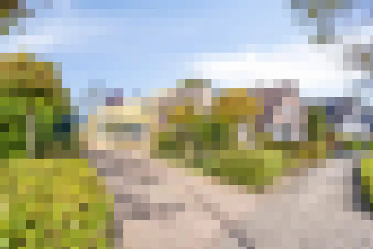 Kraaiheide 86 Eerbeek thumbnail 69