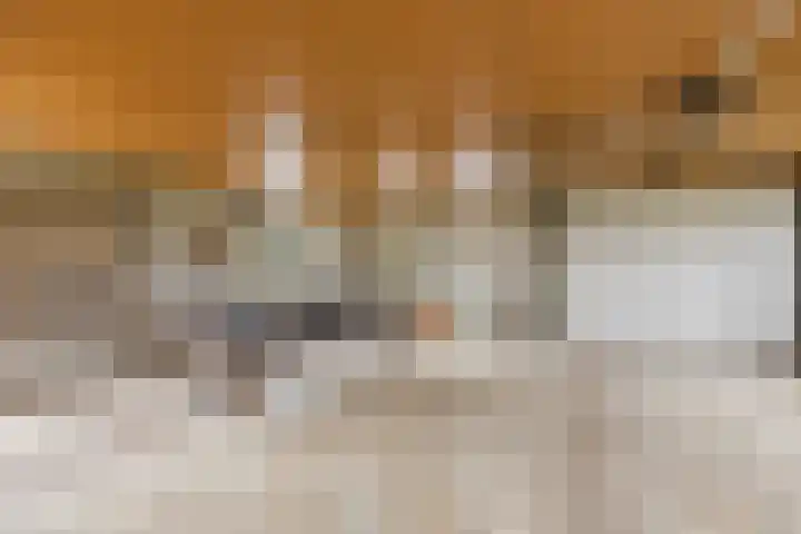 Kraaiheuvelstraat 1 a Achtmaal thumbnail 22