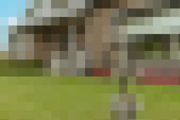 Kraaiheuvelstraat 1 a Achtmaal thumbnail 45
