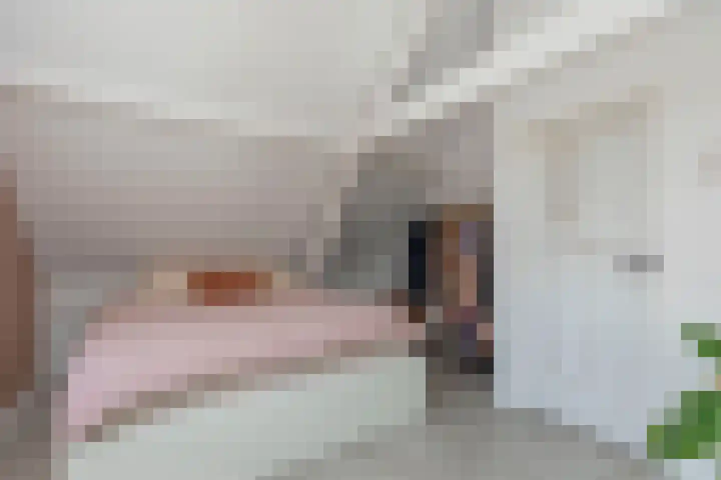 Kraaihoek 12 Papendrecht thumbnail 15