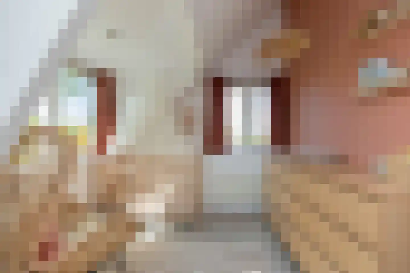 Kraaihoek 12 Papendrecht thumbnail 18