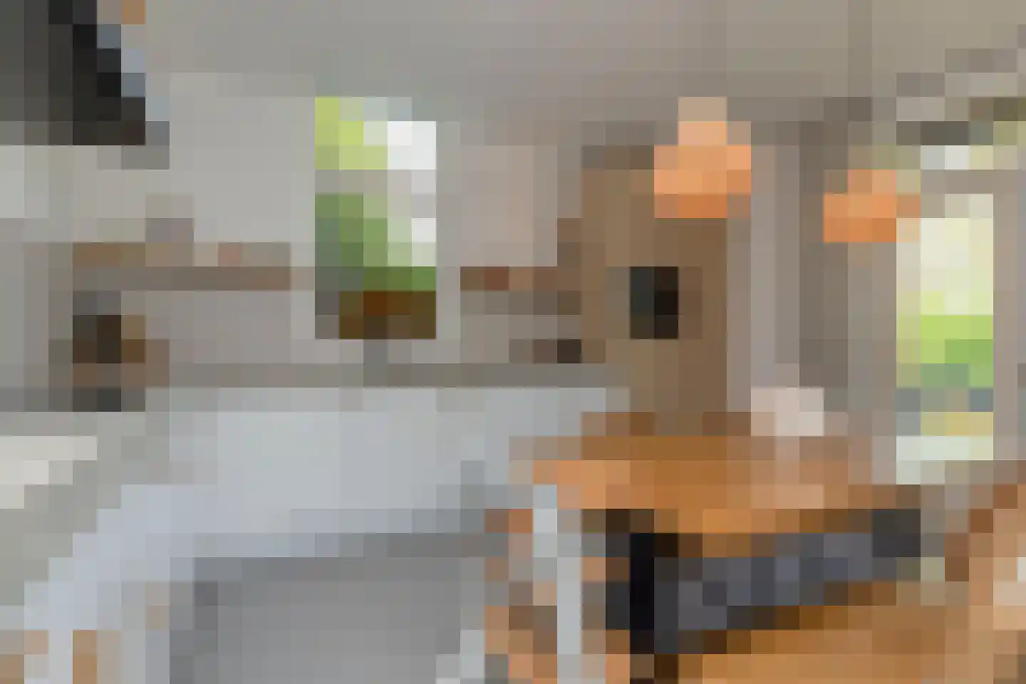 Kraaihoek 12 Papendrecht thumbnail 30