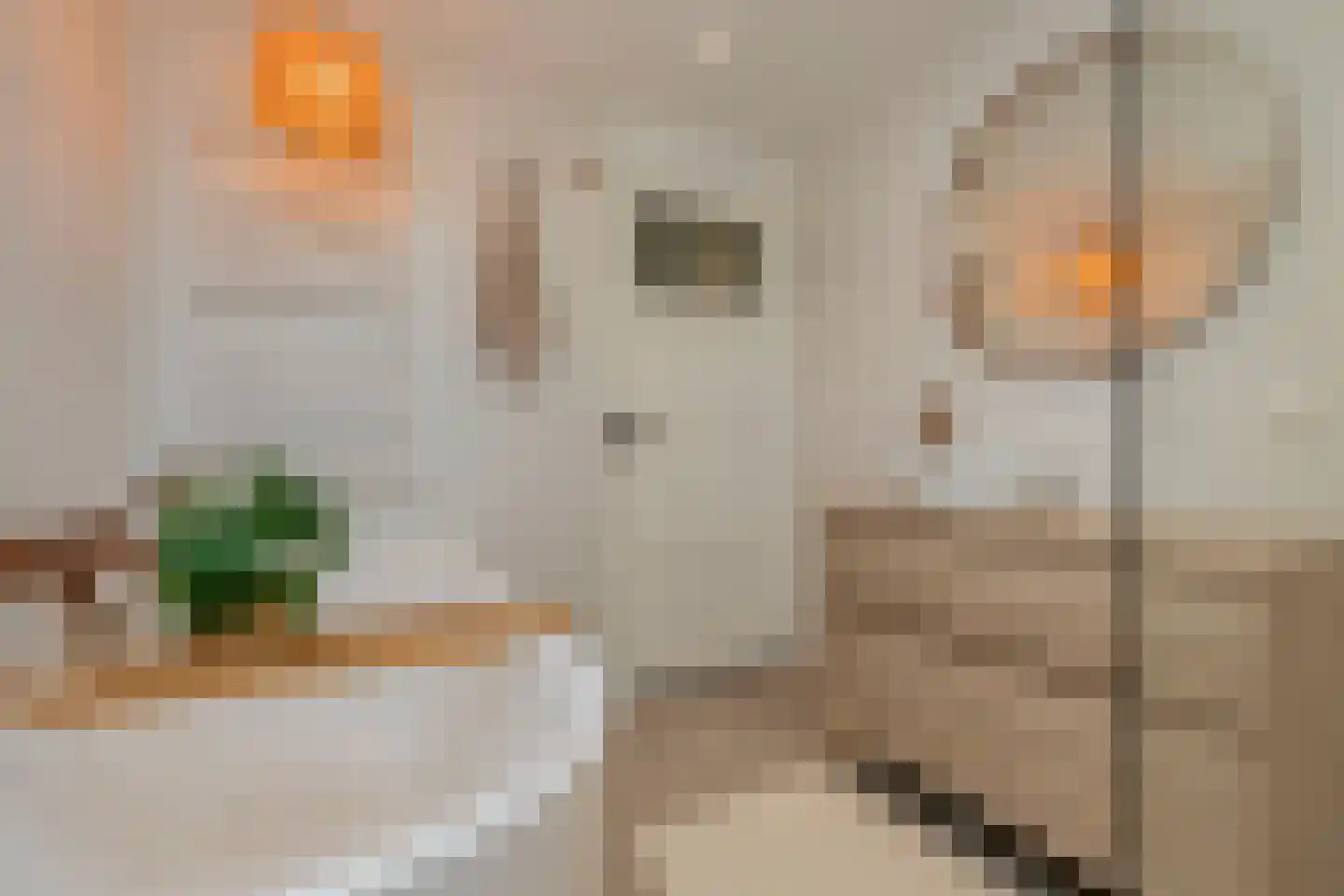Kraaihoek 12 Papendrecht thumbnail 33