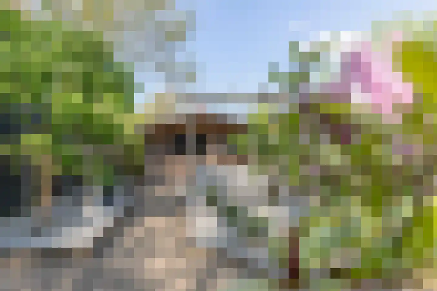 Kraaihoek 12 Papendrecht thumbnail 37
