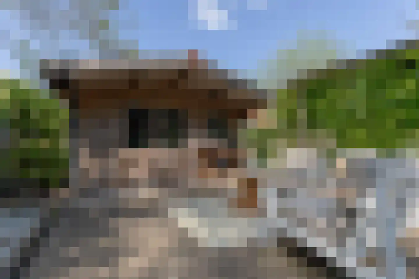 Kraaihoek 12 Papendrecht thumbnail 39