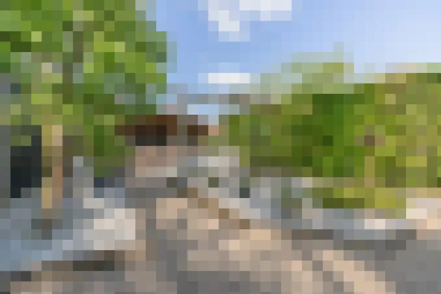 Kraaihoek 12 Papendrecht thumbnail 4