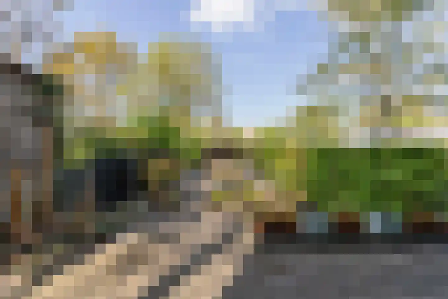 Kraaihoek 12 Papendrecht thumbnail 40