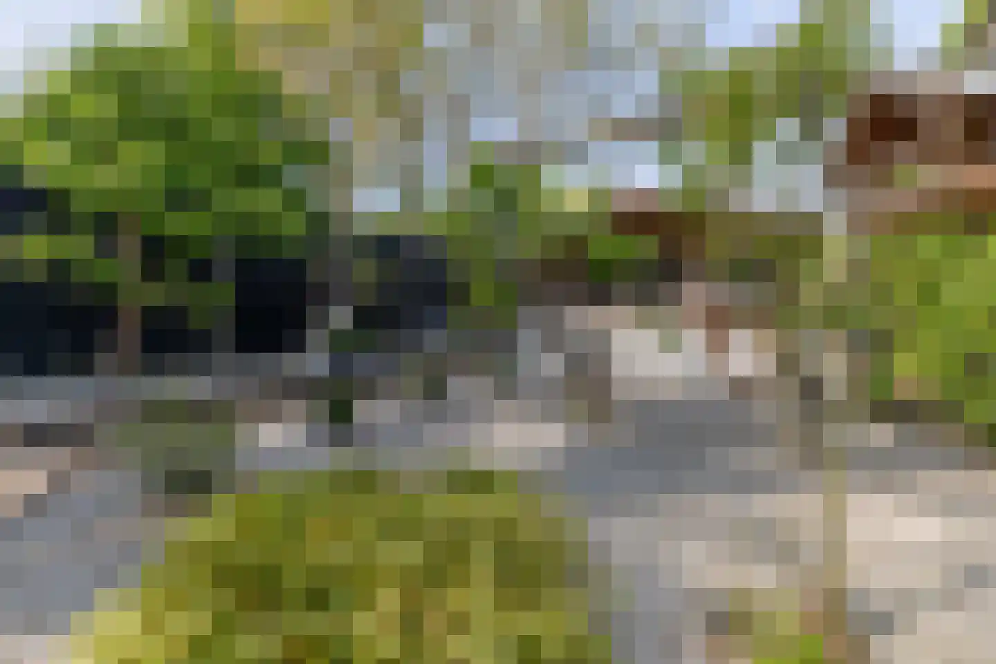 Kraaihoek 12 Papendrecht thumbnail 44