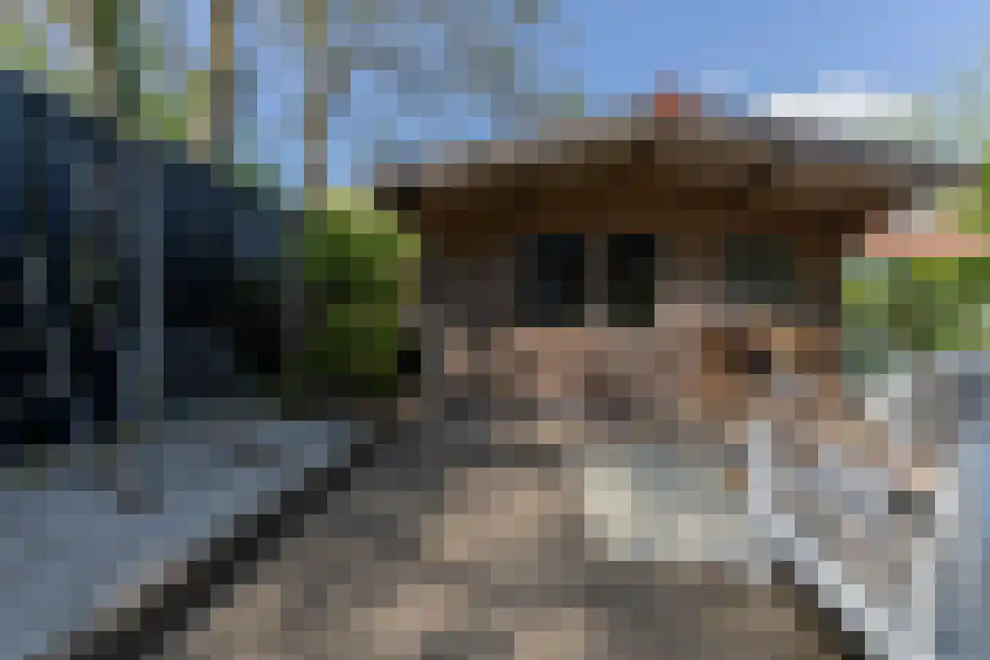 Kraaihoek 12 Papendrecht thumbnail 45