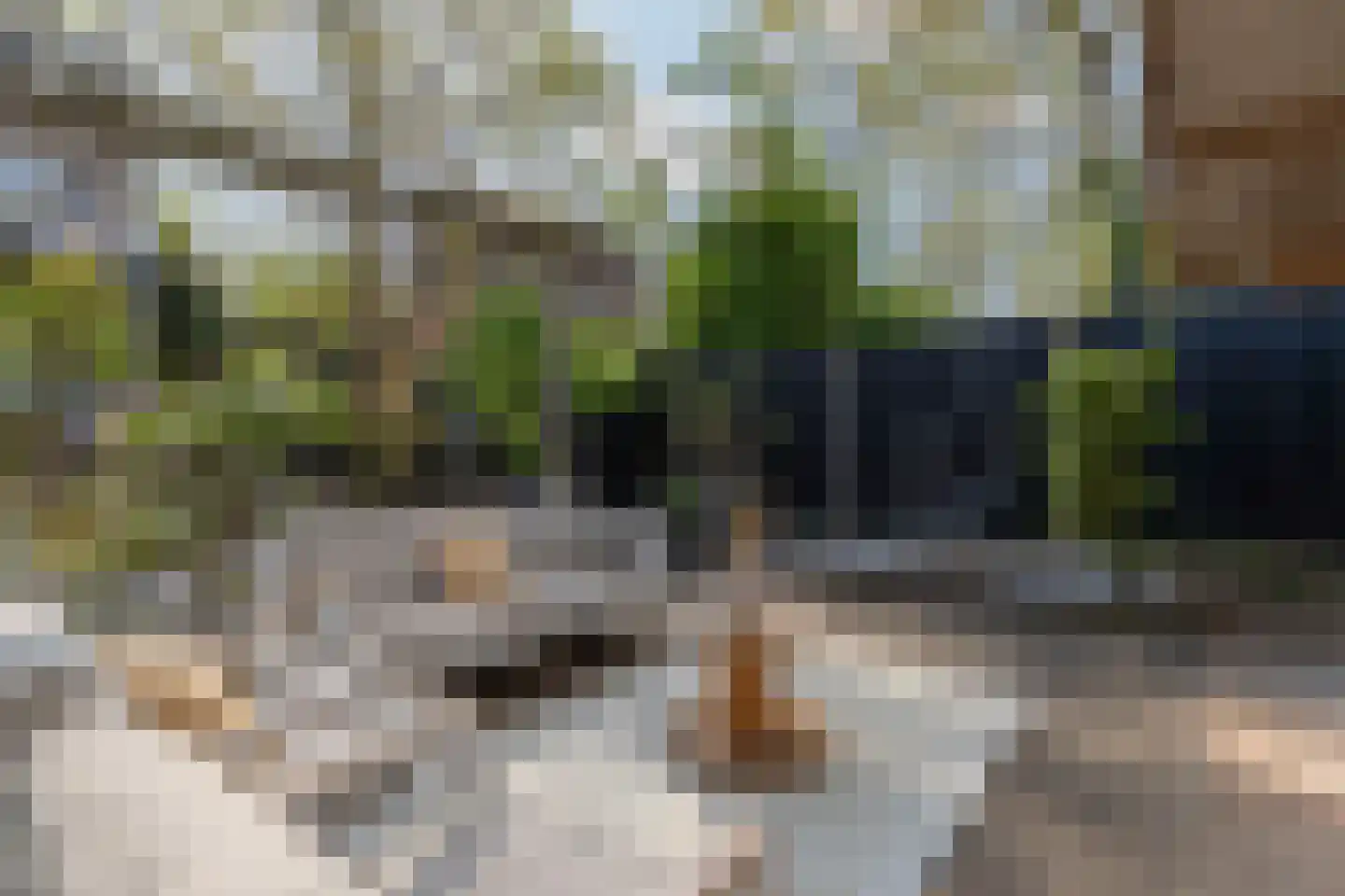 Kraaihoek 12 Papendrecht thumbnail 46