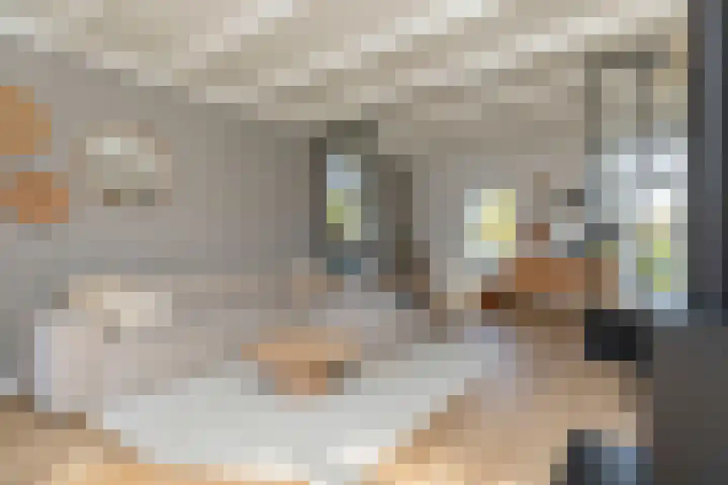 Kraaihoek 12 Papendrecht thumbnail 6