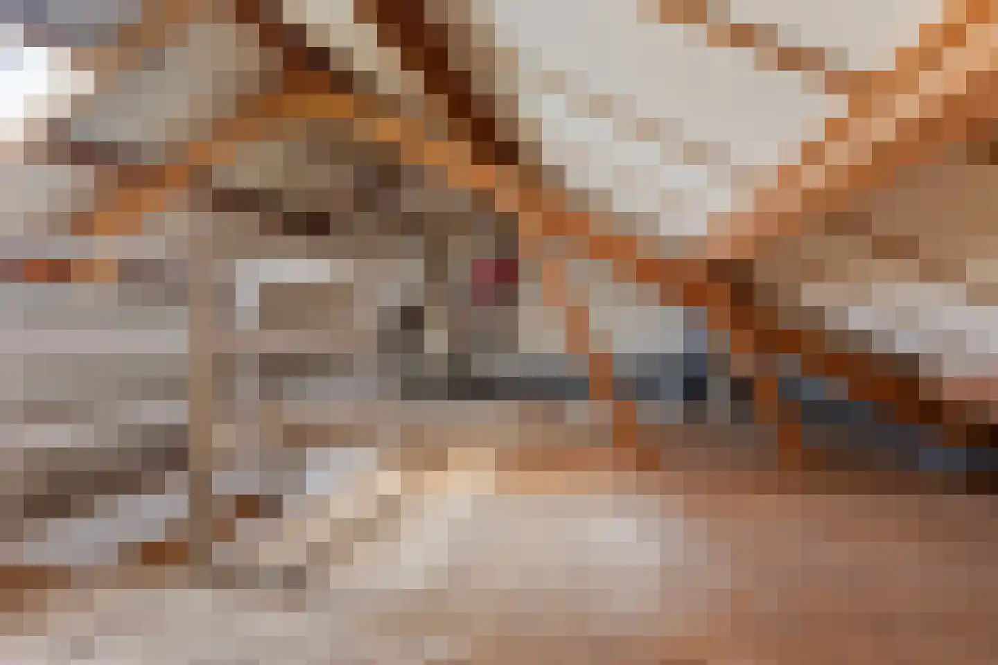Kraaijenberg 7017 Wijchen thumbnail 17