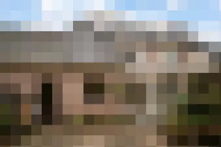 Kraaijenberg 7311 Wijchen thumbnail 11