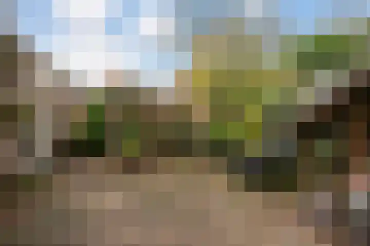 Kraaijenberg 7311 Wijchen thumbnail 12