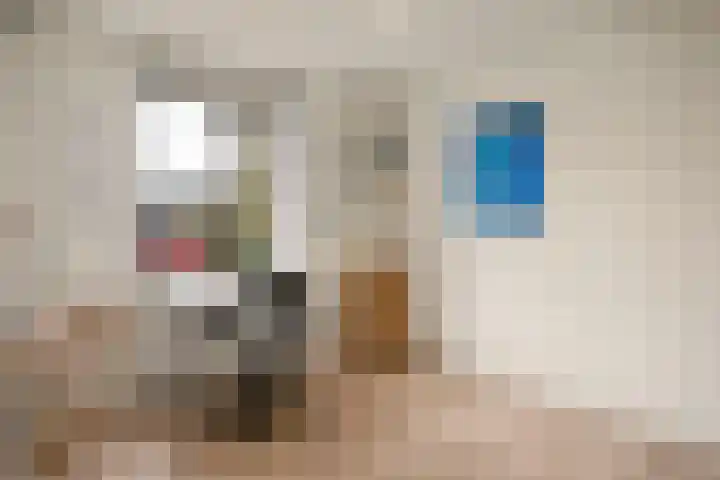 Kraaijenberg 7311 Wijchen thumbnail 15