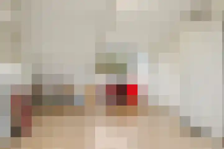Kraaijenberg 7311 Wijchen thumbnail 21
