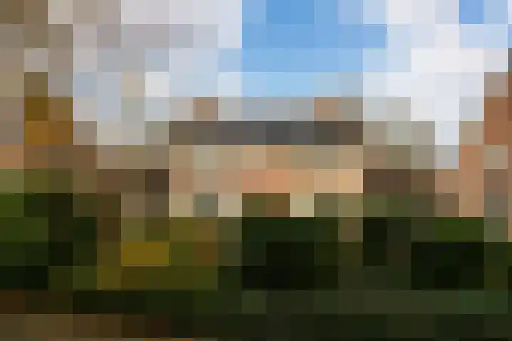 Kraaijenberg 7311 Wijchen thumbnail 28