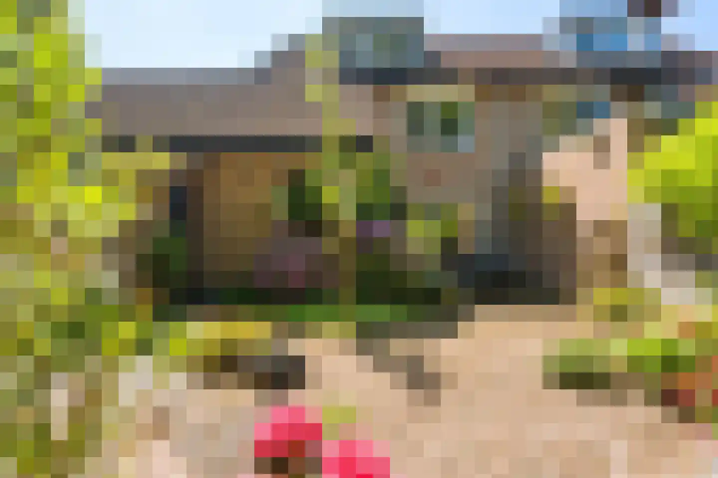 Kraaijenberg 7319 Wijchen thumbnail 10