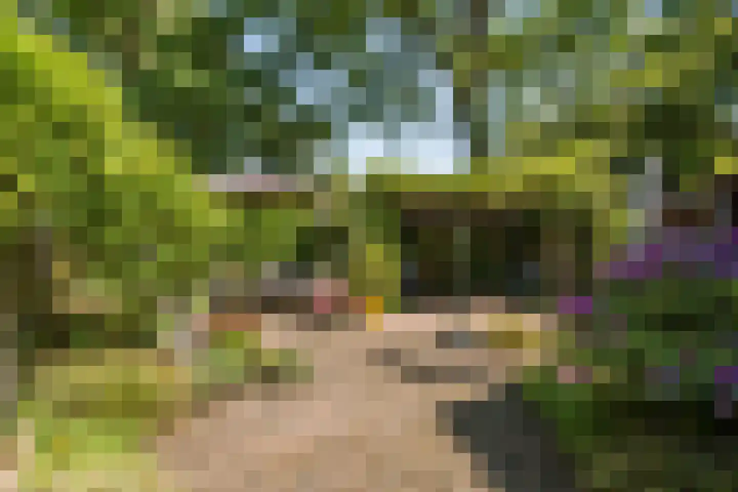 Kraaijenberg 7319 Wijchen thumbnail 12