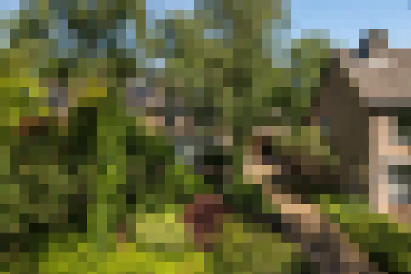 Kraaijenberg 7319 Wijchen thumbnail 24