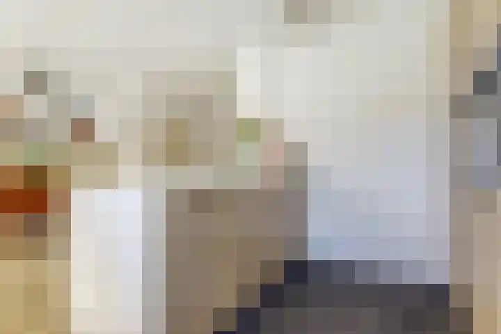 Kraaijenberg 7336 Wijchen thumbnail 14