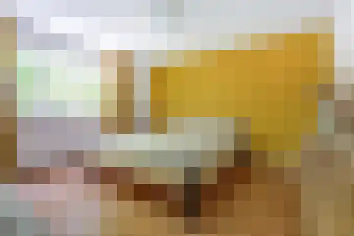 Kraaijenberg 7336 Wijchen thumbnail 22