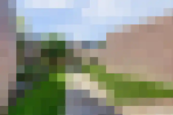 Kraaijenberg 7336 Wijchen thumbnail 35