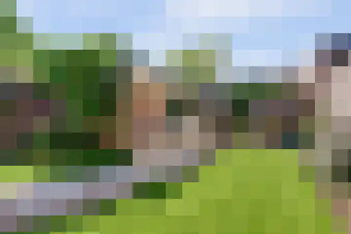 Kraaijenberg 7336 Wijchen thumbnail 37