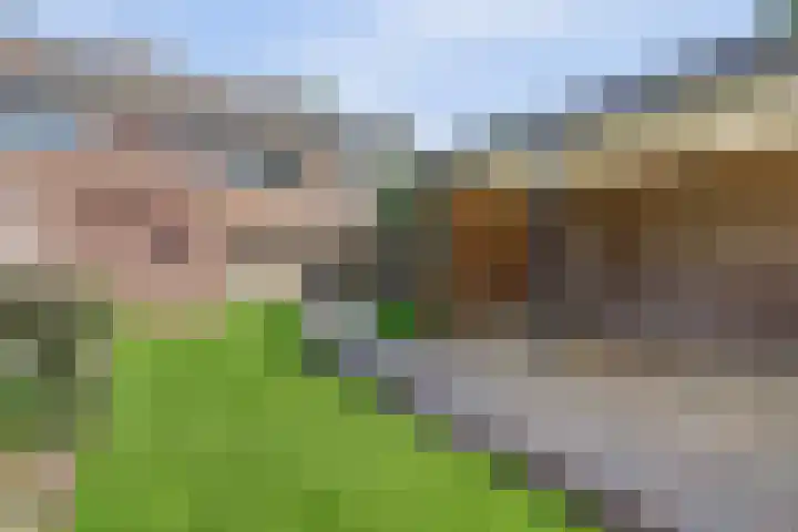 Kraaijenberg 7336 Wijchen thumbnail 38