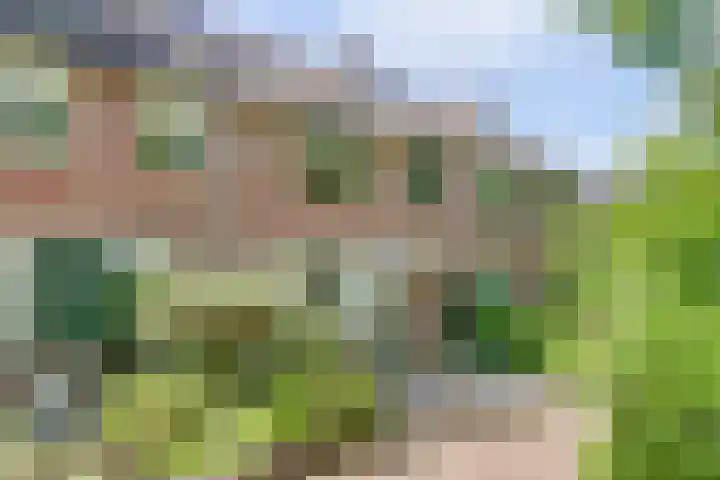 Kraaijenberg 7336 Wijchen thumbnail 41