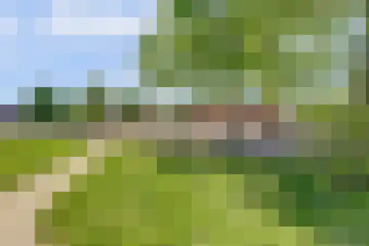 Kraaijenberg 7336 Wijchen thumbnail 42
