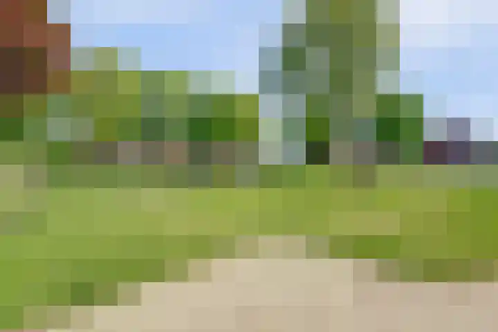 Kraaijenberg 7336 Wijchen thumbnail 43