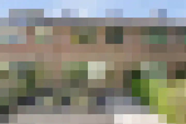 Kraaijenberg 7336 Wijchen thumbnail 5