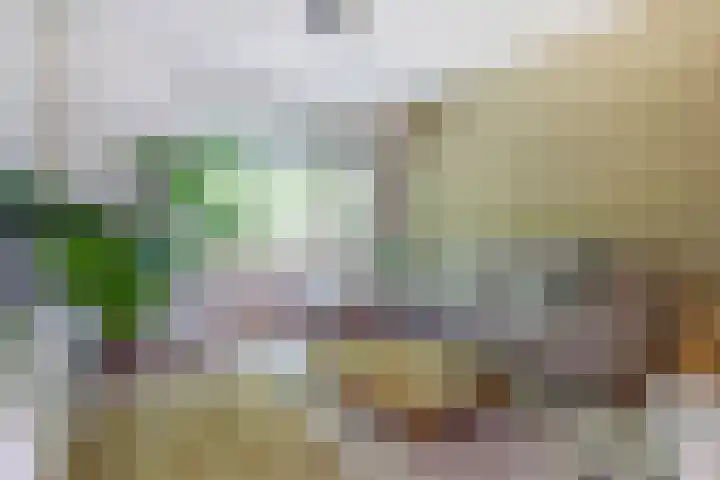 Kraaijenberg 7336 Wijchen thumbnail 7
