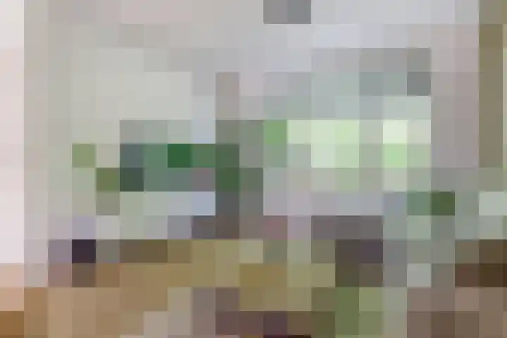 Kraaijenberg 7336 Wijchen thumbnail 8