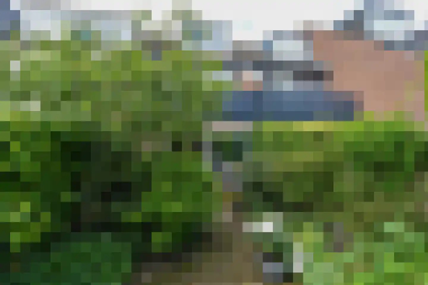 Kraaijenberg 7509 Wijchen thumbnail 37