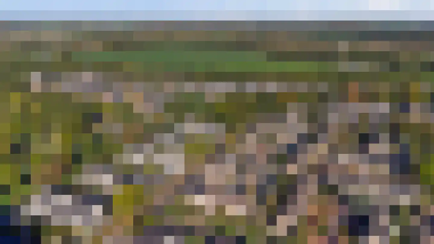 Kraaijenberg 8007 Wijchen thumbnail 38