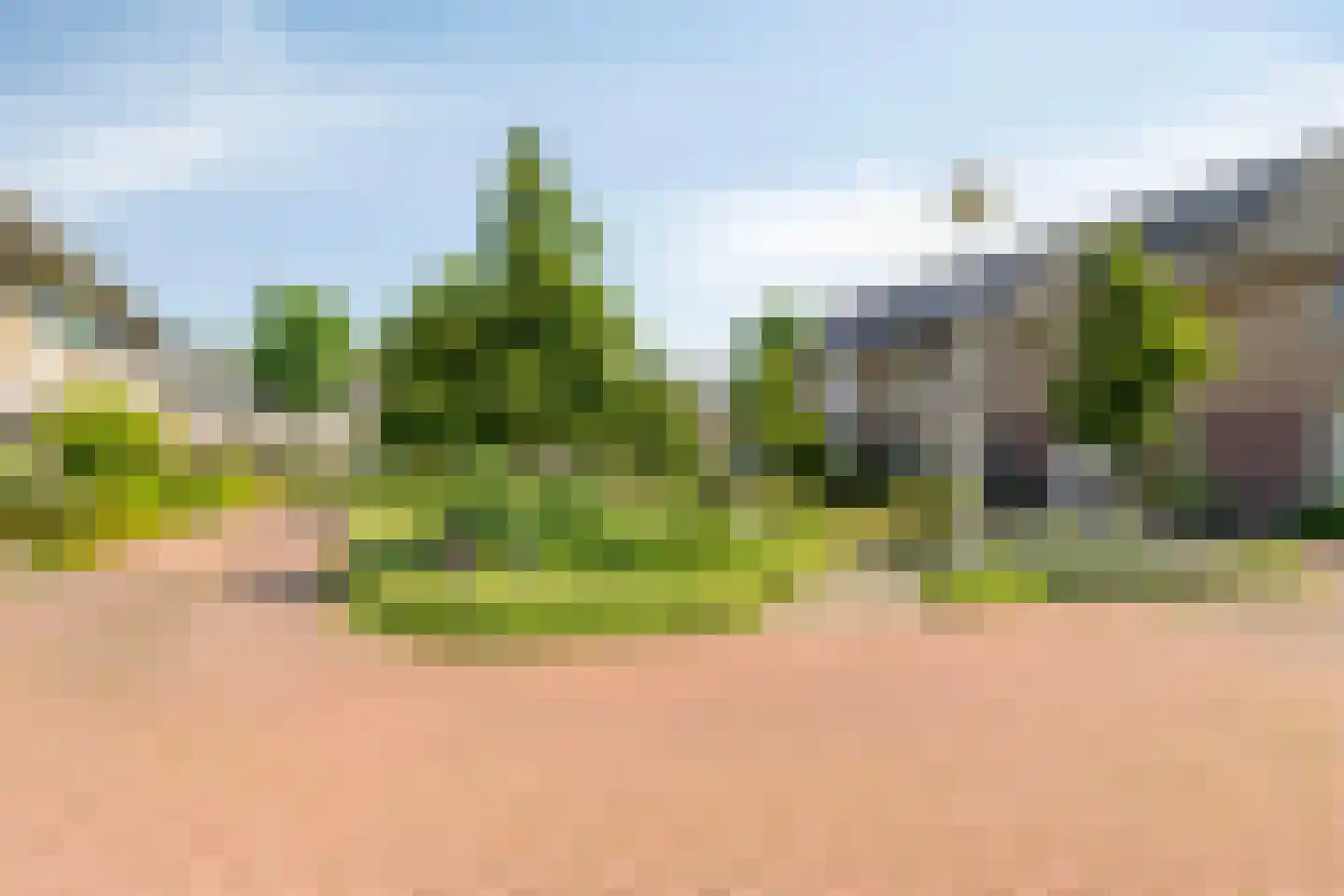Kraaijenberg 8125 Wijchen thumbnail 41