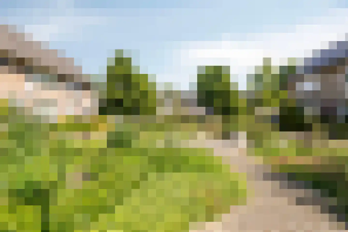 Kraaijenberg 8125 Wijchen thumbnail 42
