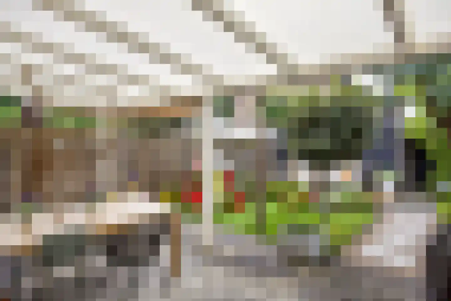 Kraaijenberg 8143 Wijchen thumbnail 12