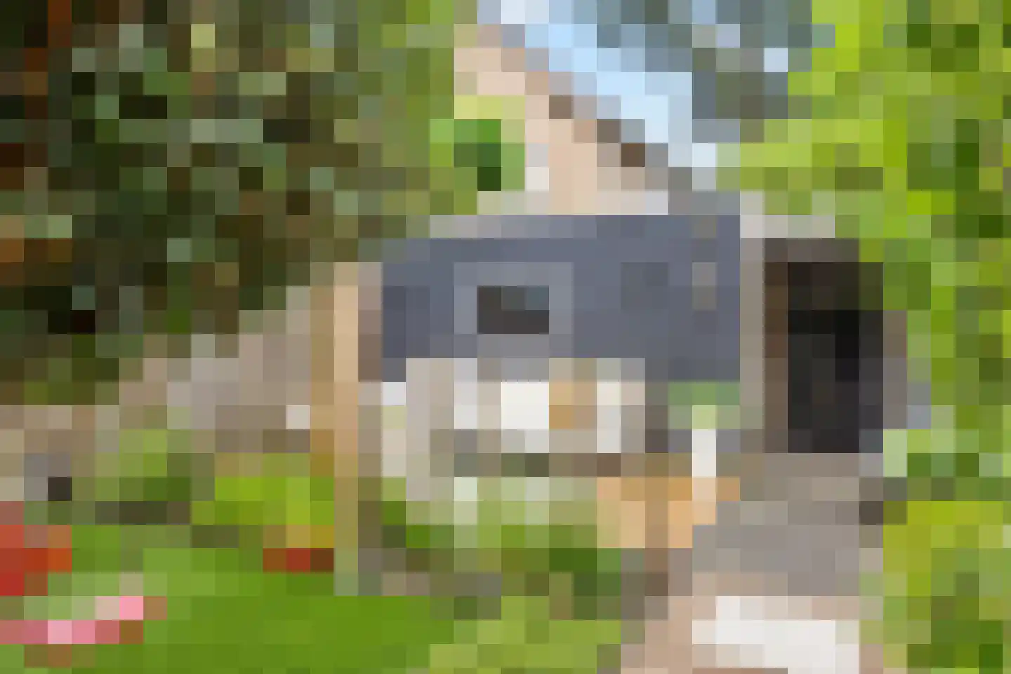 Kraaijenberg 8143 Wijchen thumbnail 14