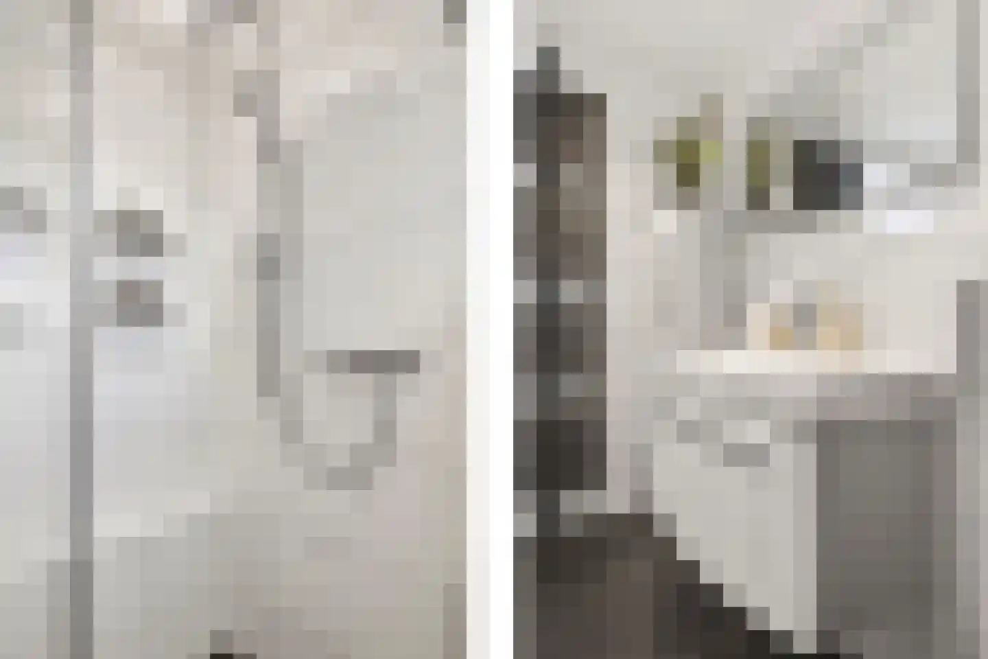 Kraaijenberg 8143 Wijchen thumbnail 25