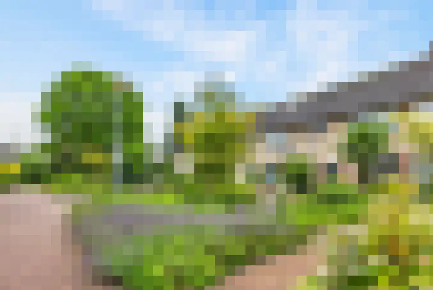 Kraaijenberg 8143 Wijchen thumbnail 31