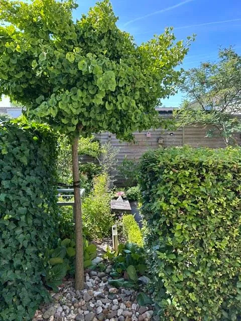 Kraaijenberg 8304 Wijchen thumbnail 36
